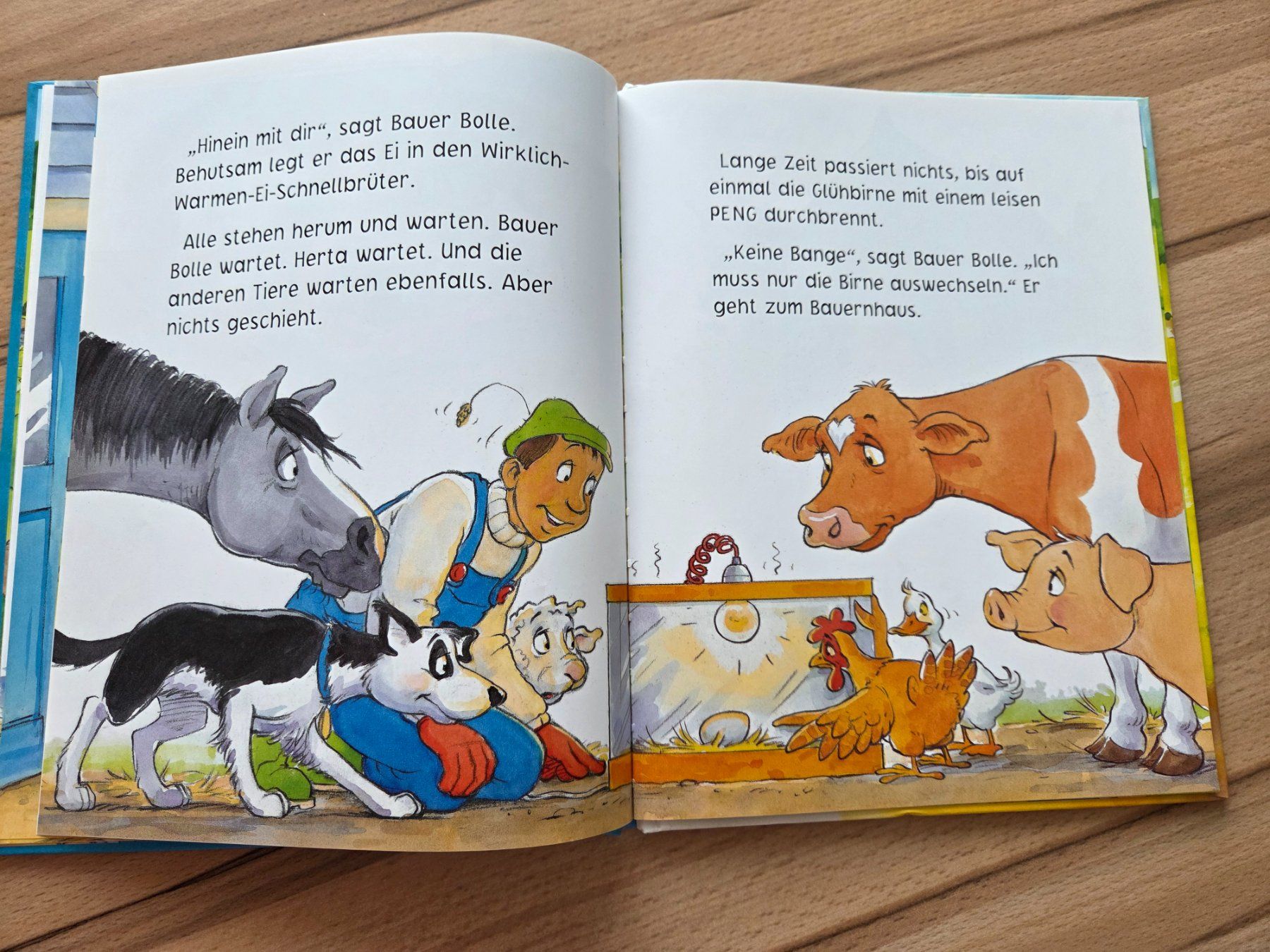 Livres: Das dreizehnte Ei – D'occasion à Grosswangen par sunny.stivi 4