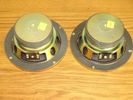 Zwei Bose Subwoofer Chassis 7 Zoll