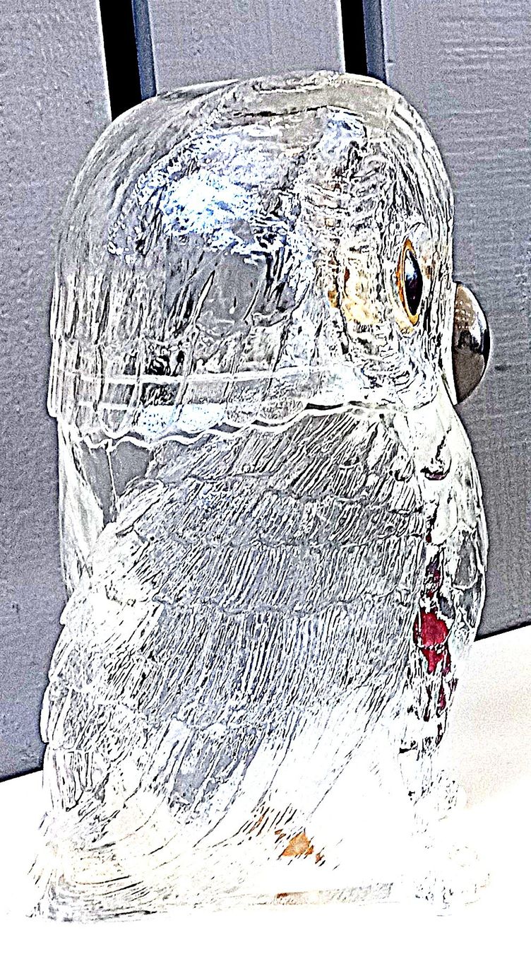 Sculture & Statue: Eule gross aus Plexiglas – Usato da Baar venduto da 2cvbaar 2