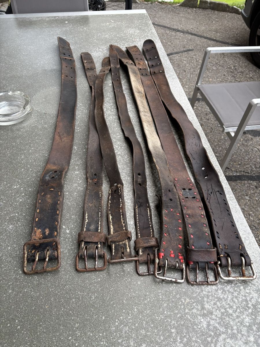 Campanacci mucche: 7 Glocken Riemen – Usato da Schangnau venduto da Roseggli82