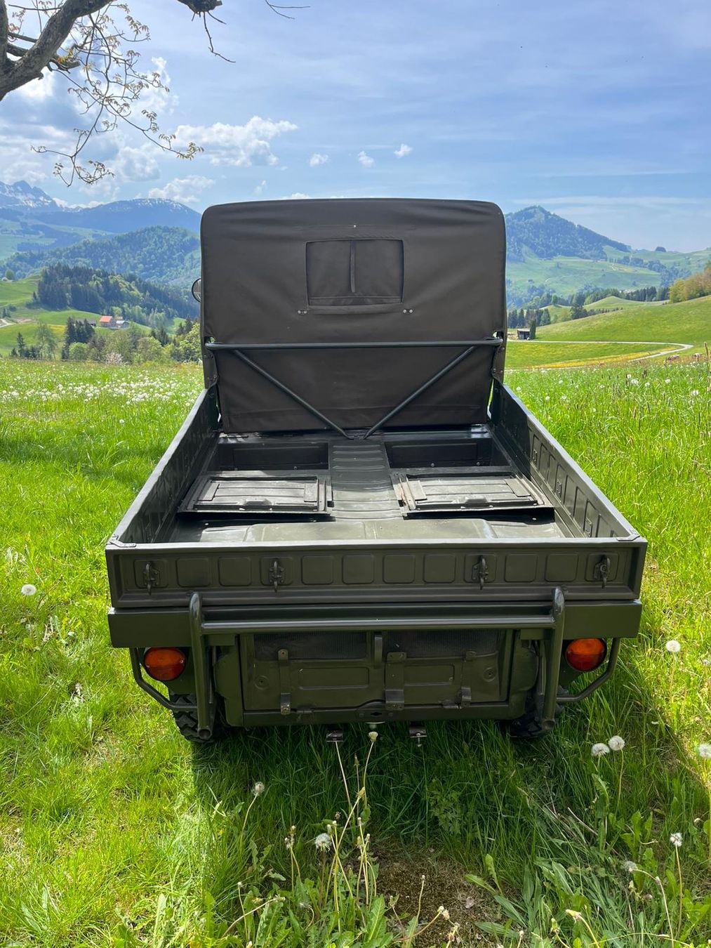 Puch Automobili: Puch Haflinger – Usato da Brülisau venduto da AdrianD01 4