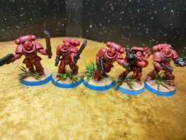 Space Marines, 5 x Assault Intercessors, Warhammer 40k