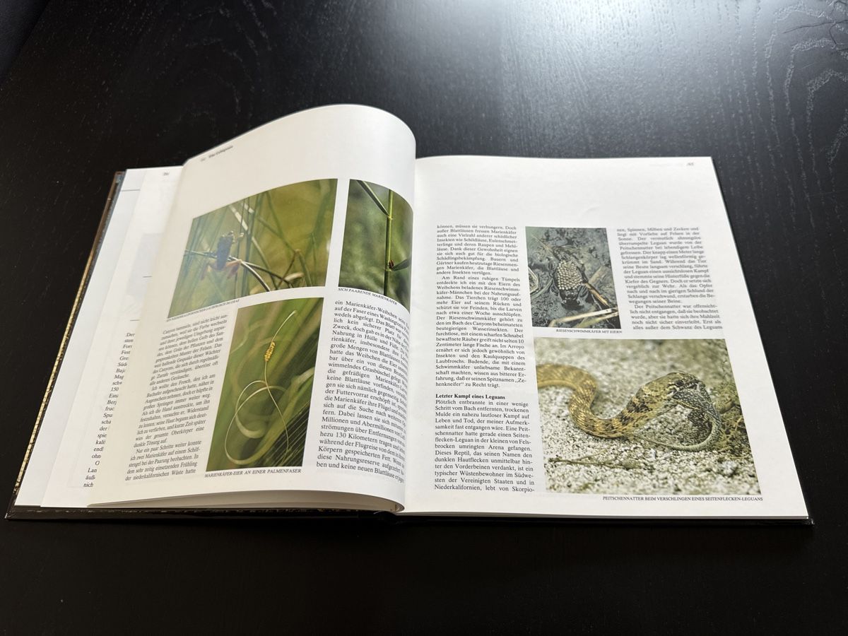 Libri: Niederkaliforniens wilde Küste – Usato da Erstfeld venduto da Uhu1980 3