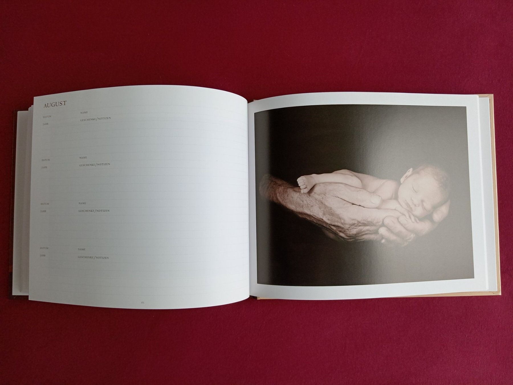 Libri: Dauer Geburtstagsbuch Anne Geddes – Nuovo (secondo la descrizione) da Goldach venduto da Stricklinger 3