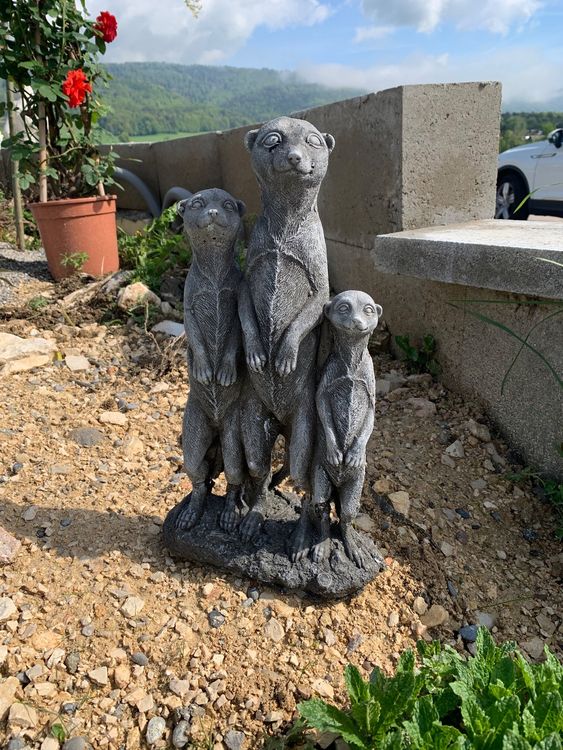Erdmännchen, Steinfigur, Gartenfiguren Kaufen auf Ricardo