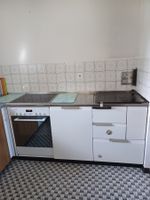 Astor Küche mit Tiba Holzherd, Fors Backofen und Abwaschm.