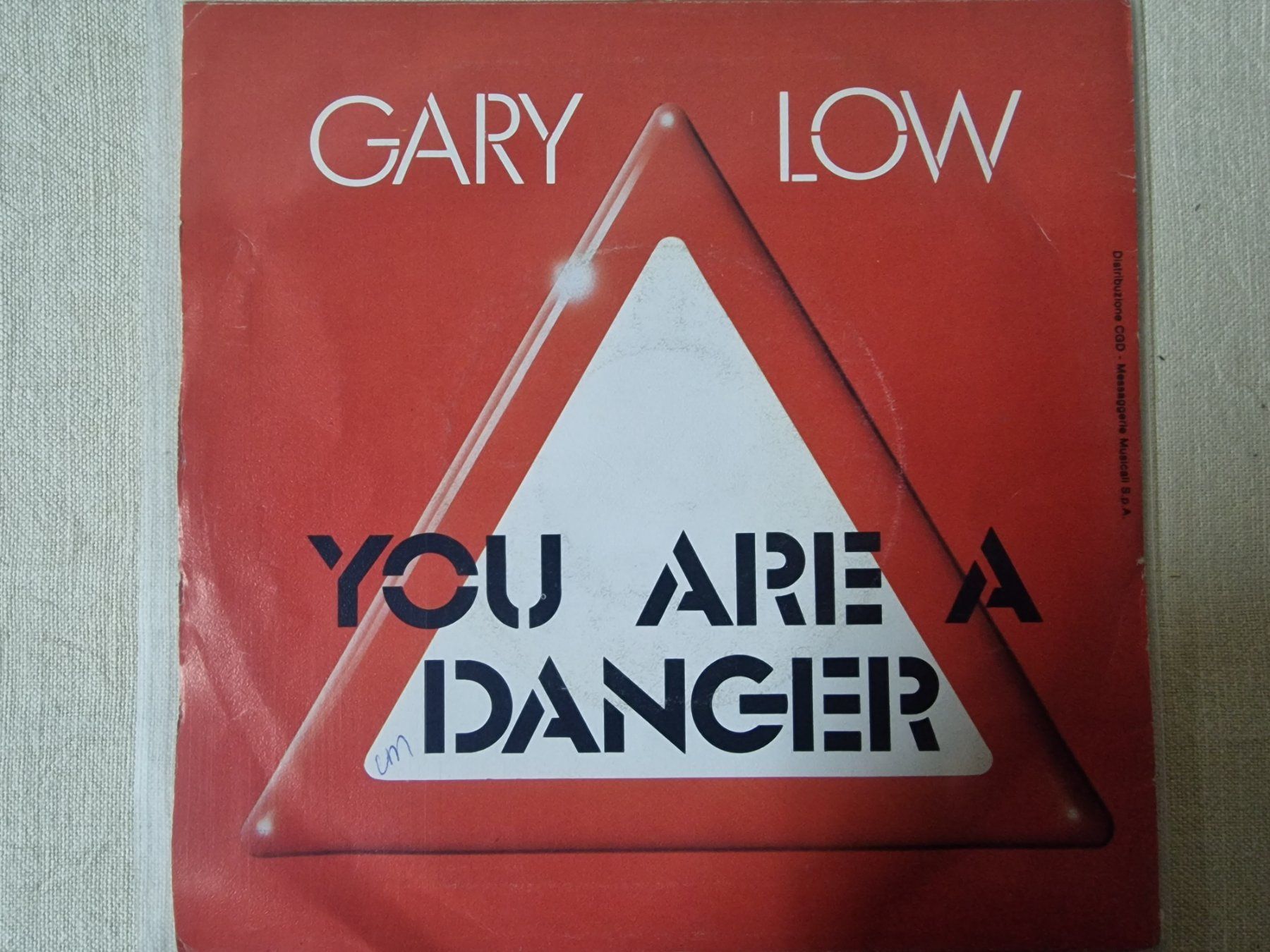 Dischi in vinile: Gary Low Single – You Are A Danger – Usato da Root venduto da atelier22 1