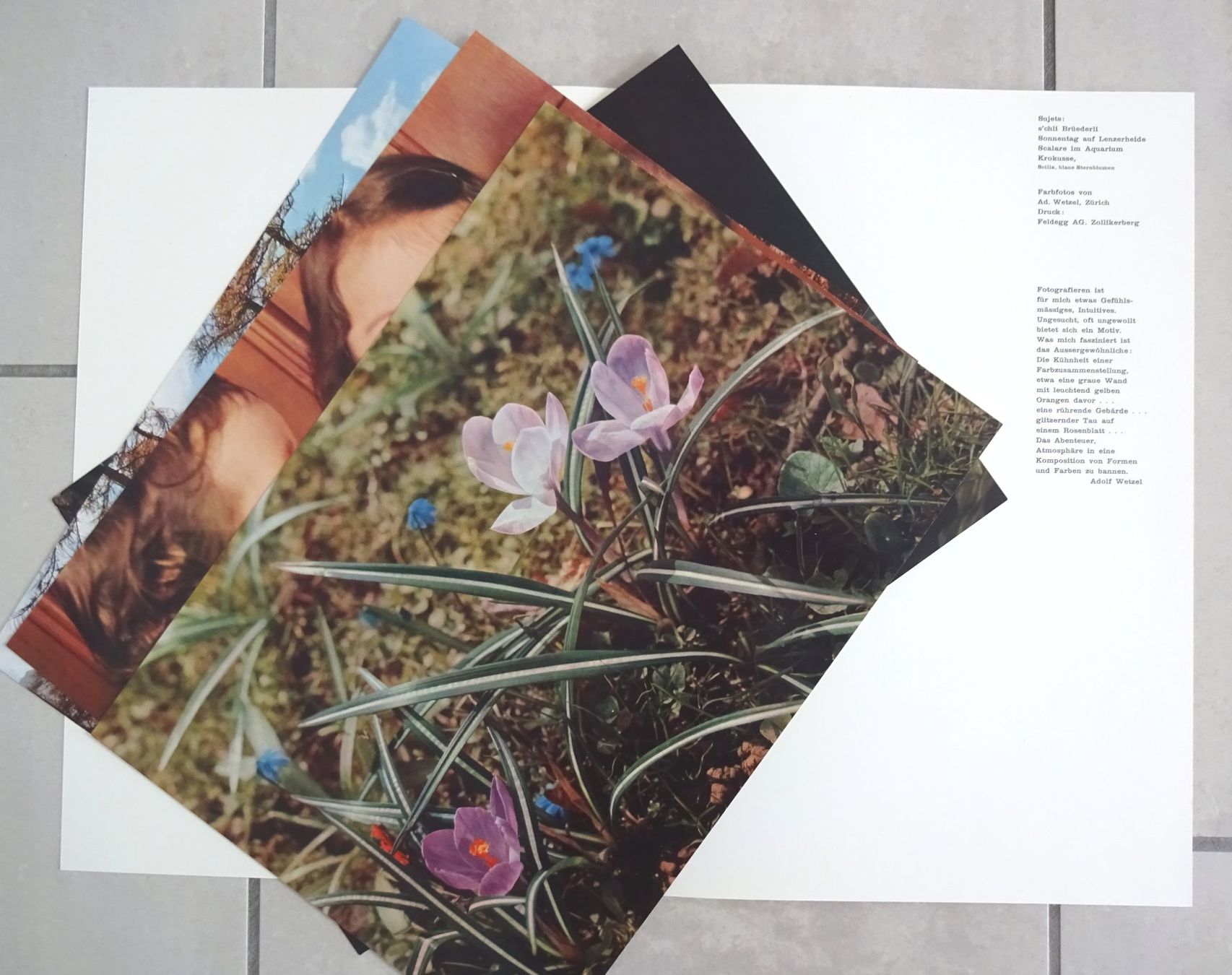 Poster & Bilder: Farbfotos von Adolf Wetzel – Gebraucht aus St.Gallen von Paddington11 1