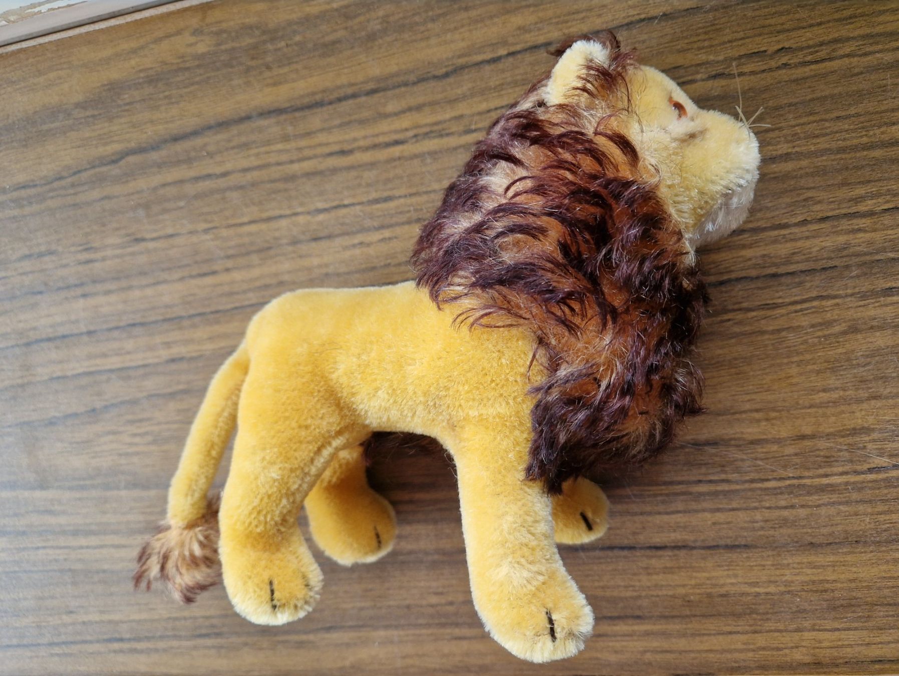 Steiff Giocattoli: Steiff Plüschtier Leo 1950er – Usato da Mörschwil venduto da lindaswunderkiste 8