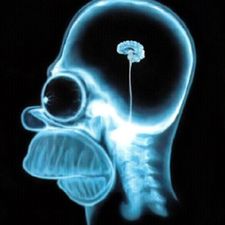 Profile image of NoBrain42