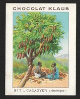 Carte Correspondance Chocolat Klaus, Cacaoyer (1930s)