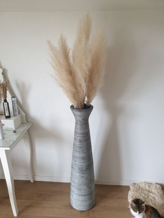 Pampas Gras mit Vase Kaufen auf Ricardo