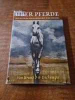 Über Pferde