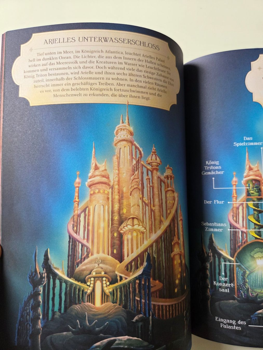 Libri: Malbuch Disney Prinzessinnen Schlösser – Nuovo (secondo la descrizione) da Aarau venduto da Allerlei1978 1