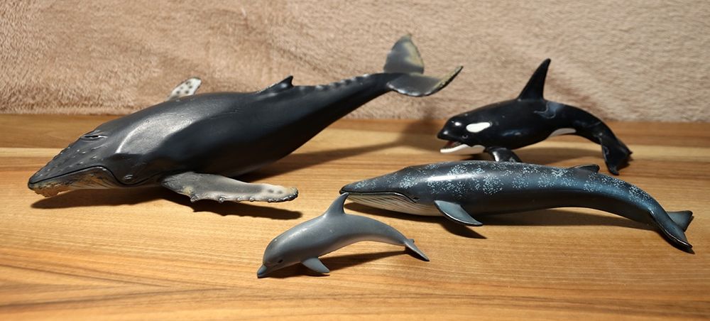 Tierfiguren von Schleich - Meerestiere - Buckelwal - Wale | Kaufen auf