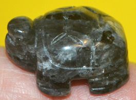Deko – Heilsteine F-472 – Schildkröte – Larvikite – 3x2cm