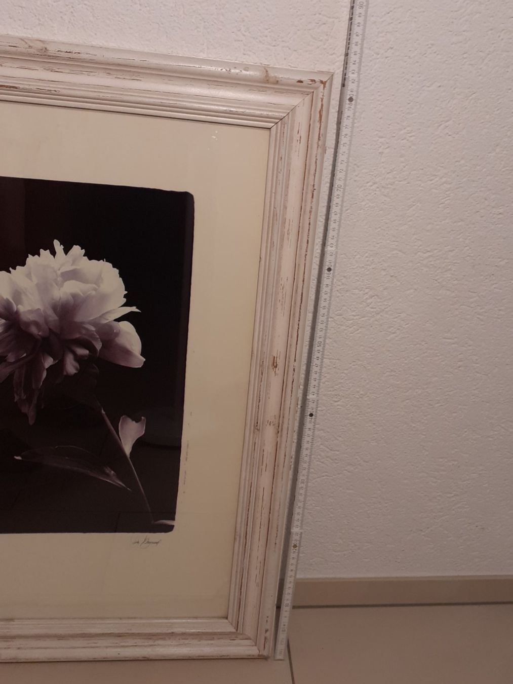 Foto & Immagini: Vintage Bilderrahmen mit passendem Pfingstrosenbild – Usato da Volketswil venduto da greifensee11511 6