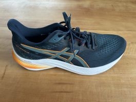 Asics GT-2000 12 Laufschuhe, Gr. 11.5 (45.5) neu