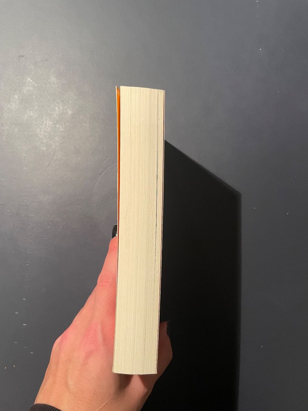 Libri: Percy Jackson im Bann des Zyklopen - Rick Riordan – Usato da Bern venduto da aij_cs5m 1