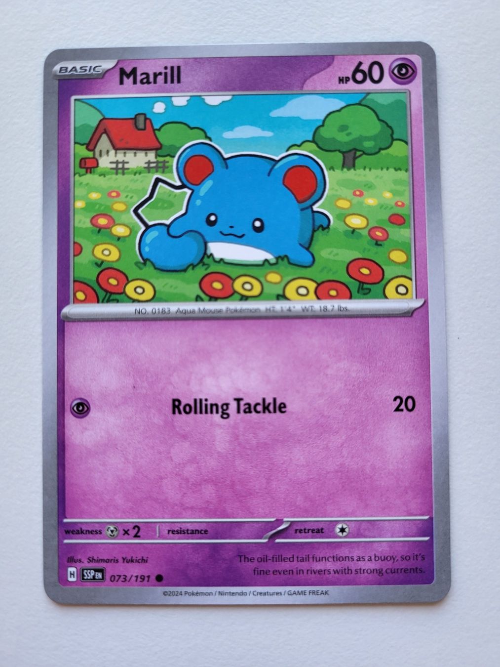 Pokémon Carte collezionabili: Marill (Surging Sparks 073/191) – Usato da Erlenbach ZH venduto da ram_mjn5
