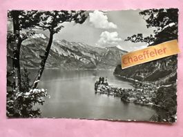Iseltwald mit Brienzer Rothorn