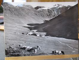 Avers Juf Piz Turba Postkarte    1