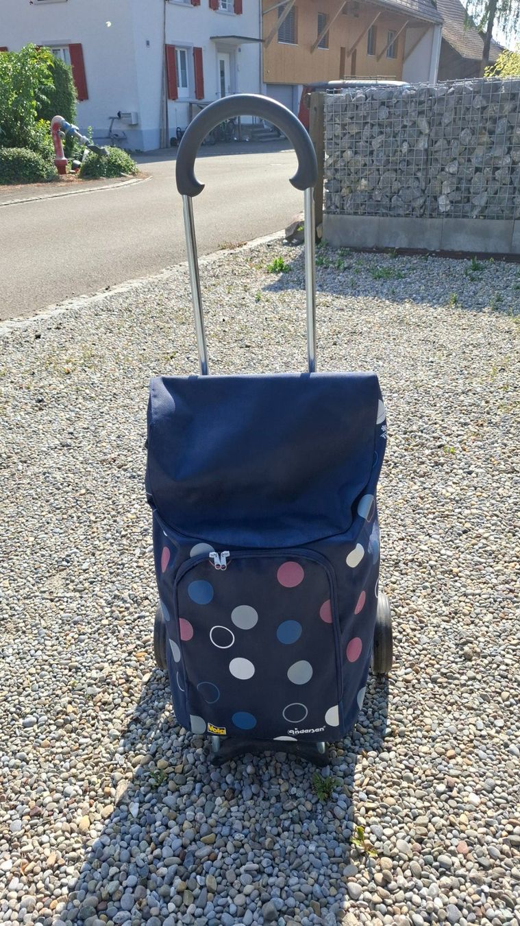Autres articles pour la maison: Einkaufswagen – D'occasion à Engwilen par Gera4