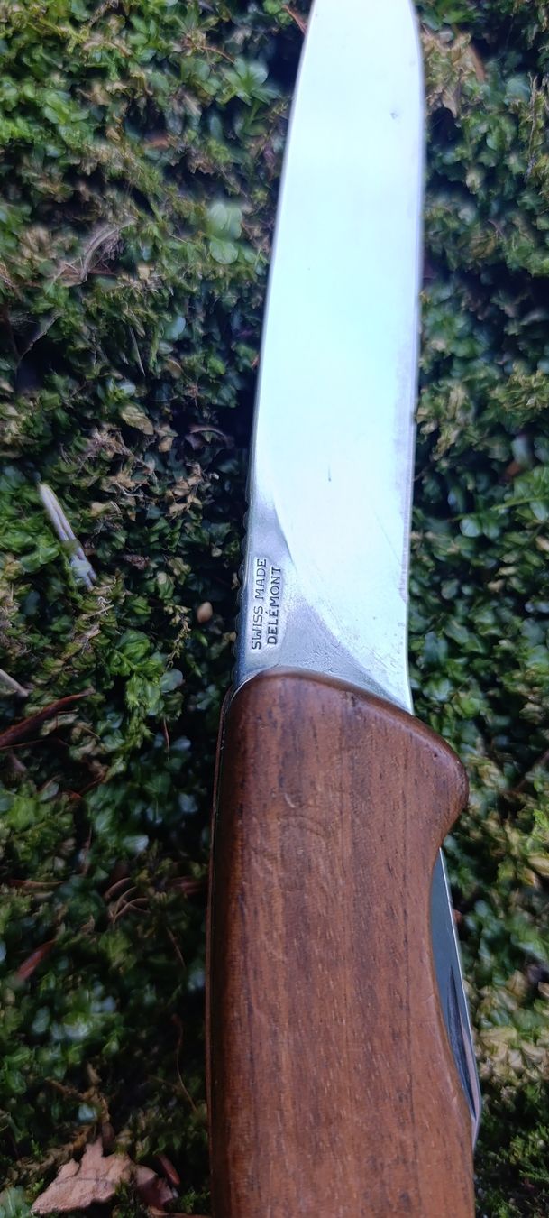 Victorinox Coltelli tascabile: Victorinox Taschenmesser  – Usato da Oppligen venduto da can_rf8g 4