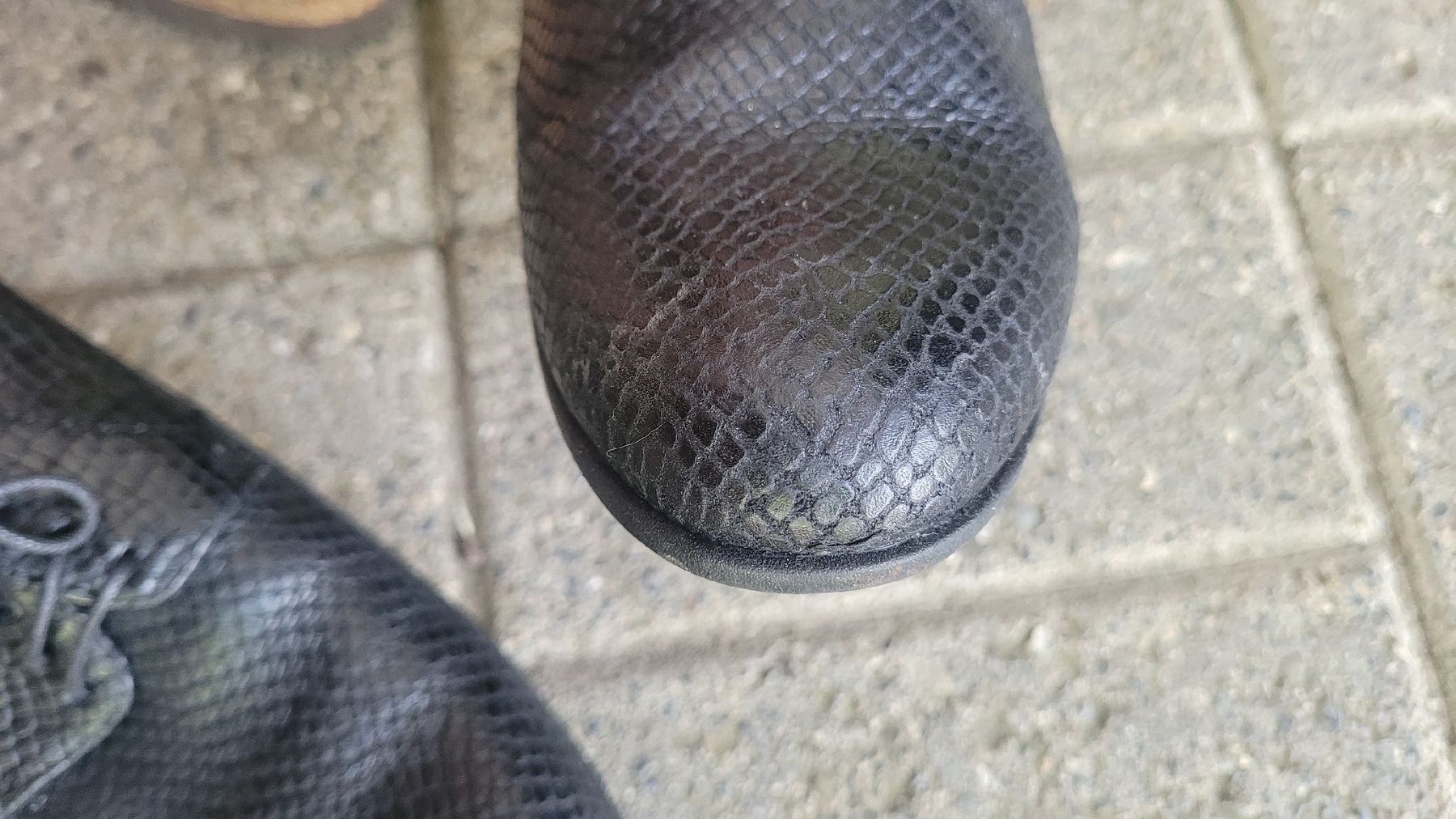 Vagabond Scarpe da donna: Schwarze Vagabond Schuhe Gr. 38 – Usato da Eich venduto da rah_8589 2