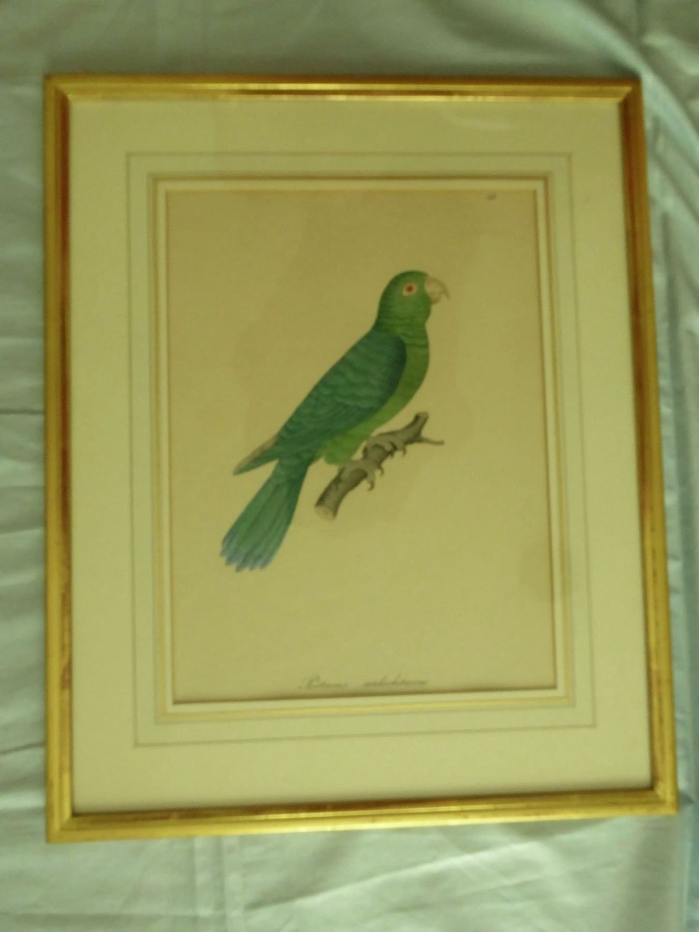 Grafiken & Lithographien: 2 Lithograpie 1842  R. Lapebier – Gebraucht aus Zürich von Chaeffeler 1