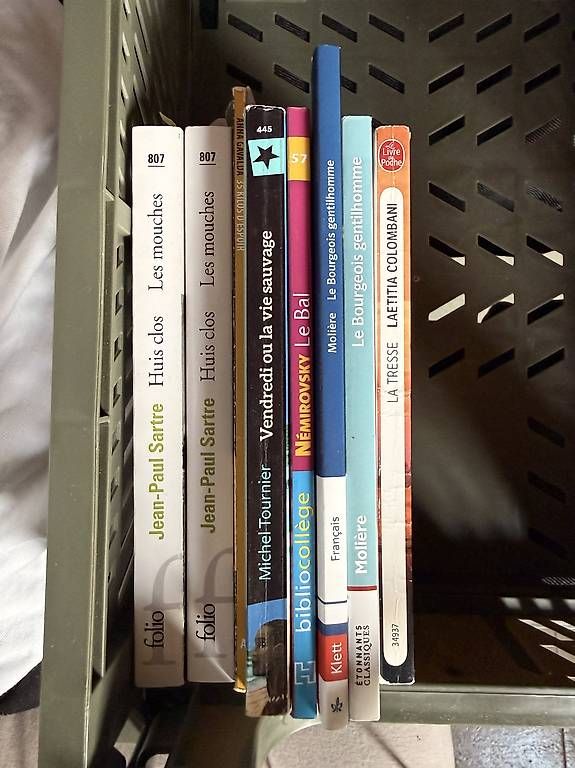 Libri: Französisch Bücher, pro Stück 7 CHF – Usato da Sarnen venduto da ale_7ph7 1