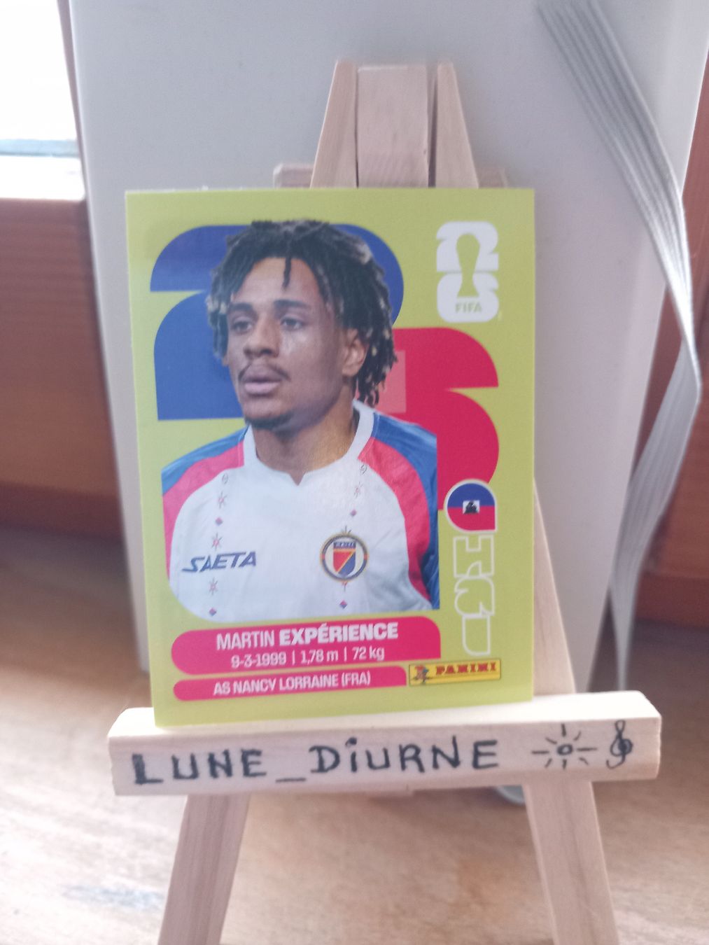Panini Carte collezionabili: Carte Panini 2026  Martin Expérience HAI4 – Usato da Salavaux venduto da Lune_Diurne