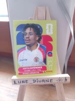 Carte Panini 2026  Martin Expérience HAI4