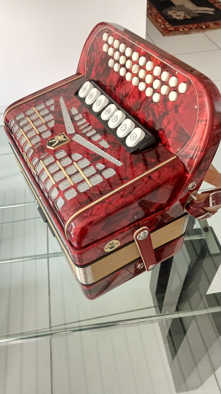 Hohner Strumenti musicali: Diatonische Handharmonika – Usato da Gwatt (Thun) venduto da Oldidoc 1