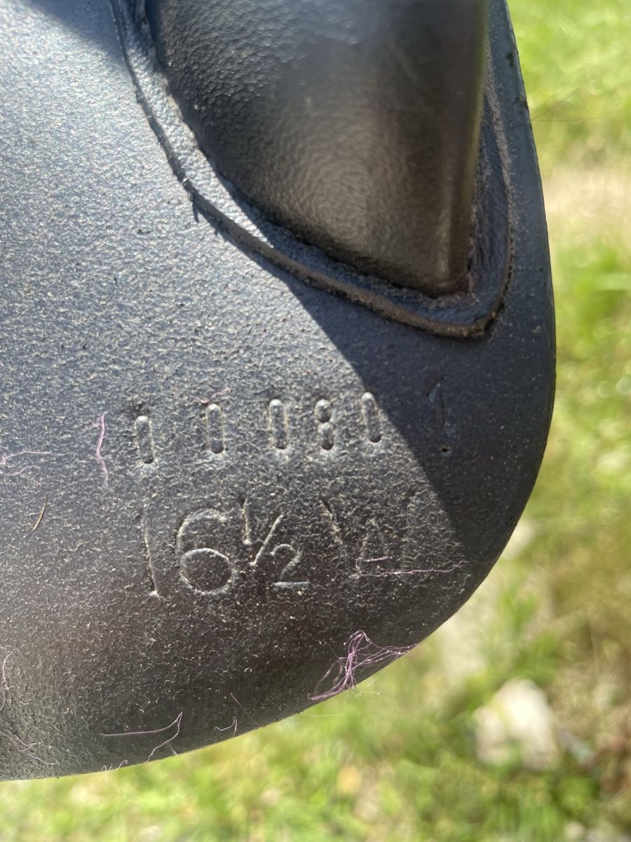 Selle & Accessori: Rancher Sattel  Spyrig – Usato da Mönthal venduto da Akirebi66 5