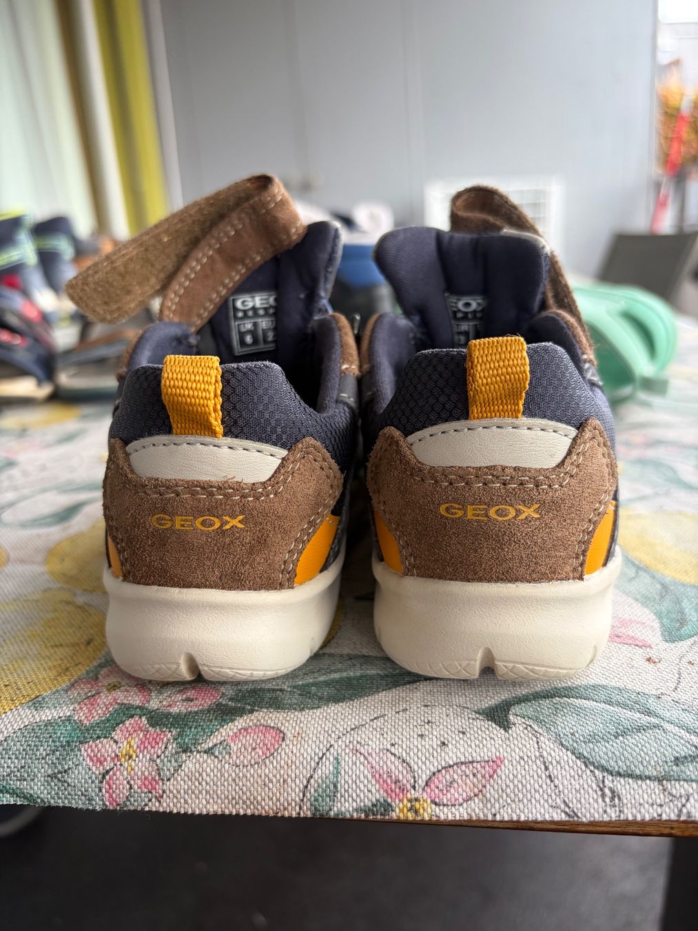 Geox Schuhe für Jungen: Geox Herbst Schuhe – Gebraucht aus Schlieren von gor_jgx7 2