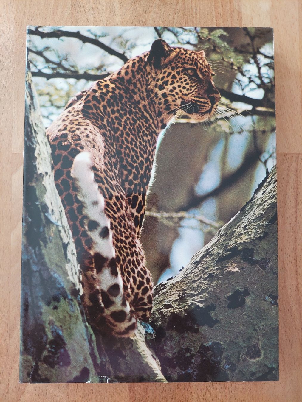 Libri: Zoo - Afrique orientale – Usato da Yverdon-les-Bains venduto da pri_x6j6