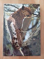 Zoo - Afrique orientale