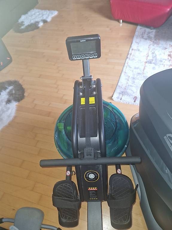 Hometrainer: Wasserrudergerät Darwin RM50 – Usato da Vogelsang AG venduto da katedenija1 2
