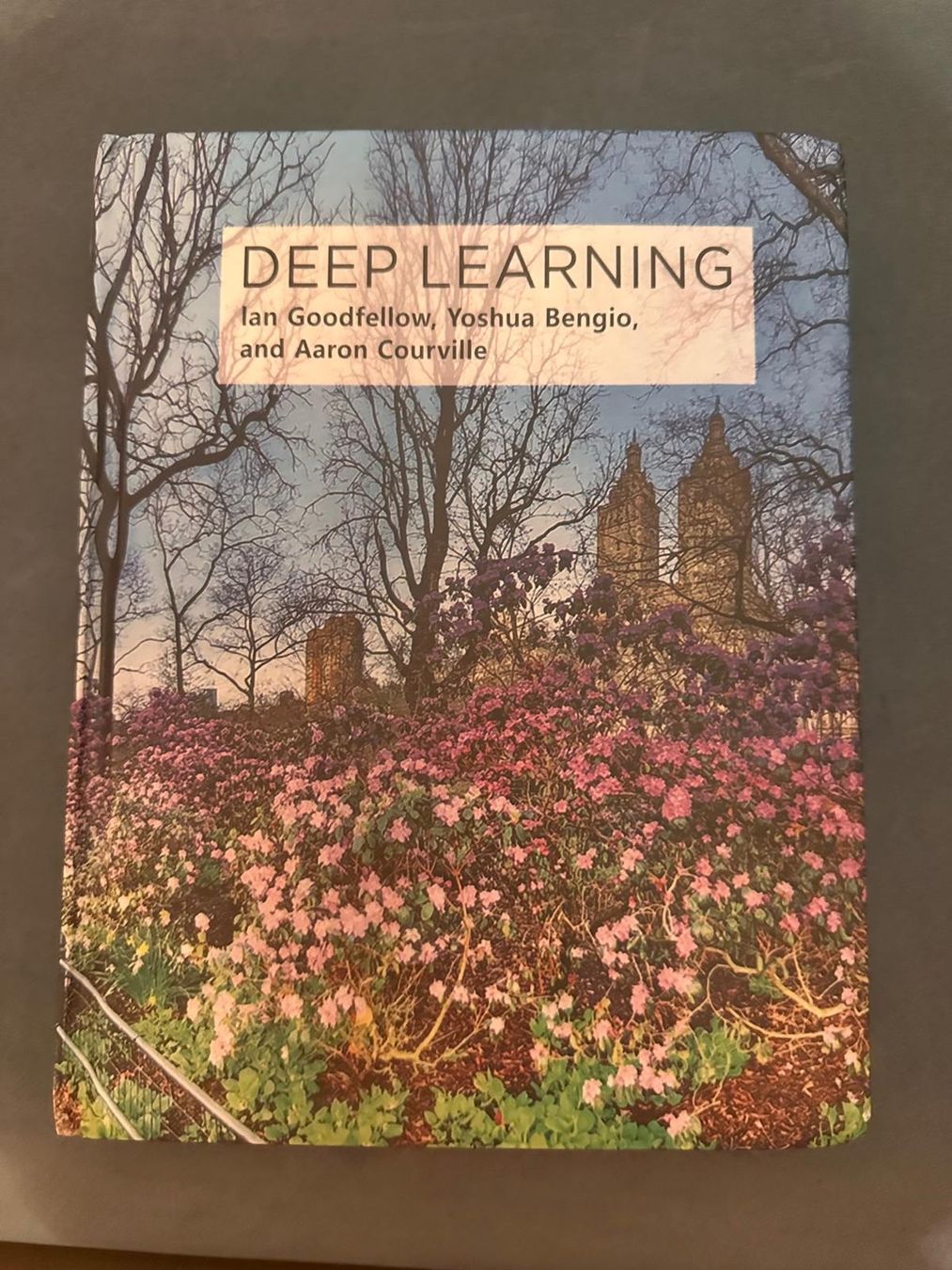 Libri: Deep Learning – Goodfellow Bengio & Courville – Usato da Zürich venduto da Sanderdh