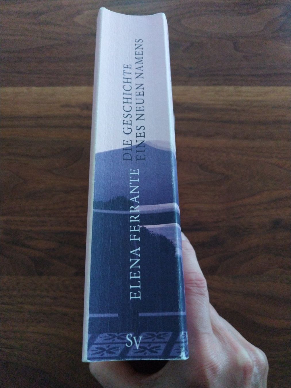 Bücher: Elena Ferrante - Die Geschichte eines neuen Namens – Gebraucht aus Bergdietikon von Tanne_10 2