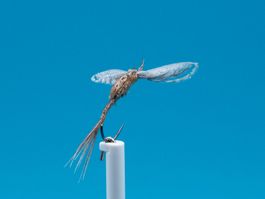5 Spent- Fliegen Grösse 10 Hanak- Haken