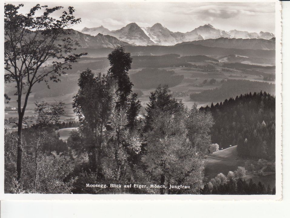 Cartoline postali: Moosegg (Berner Alpen) ca. 1955 – Usato da Bürglen TG venduto da StampGraf