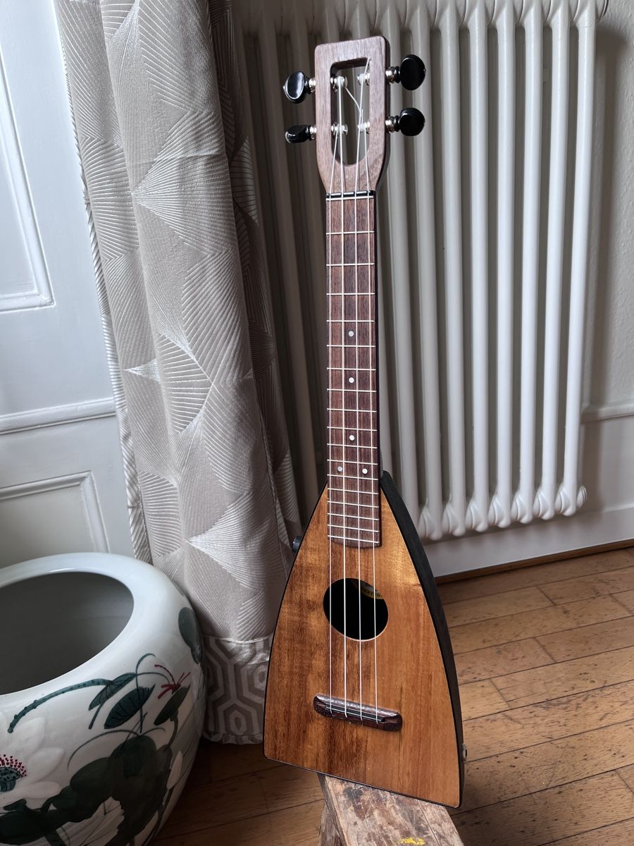 Musikinstrumente: Ukulele tenor The Fluke – Gebraucht aus Genève von tvo666