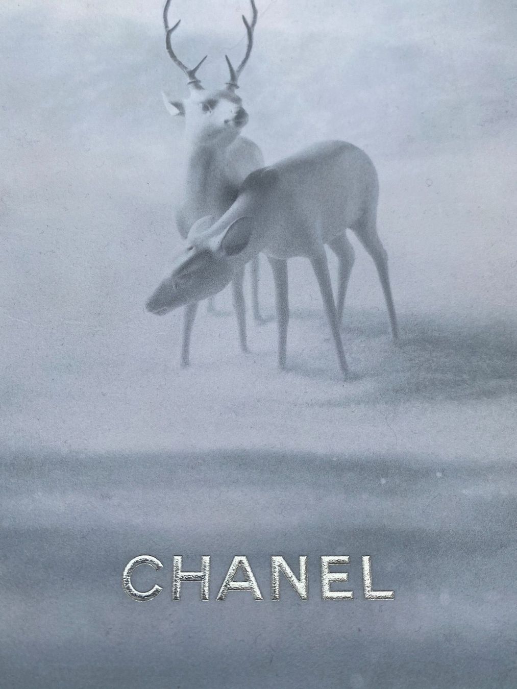 Libri: CHANEL -  NEIGE - Bijouterie - Look book -  Katalog – Usato da Zürich venduto da lesgarcons 1