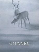 CHANEL -  NEIGE - Bijouterie - Look book -  Katalog