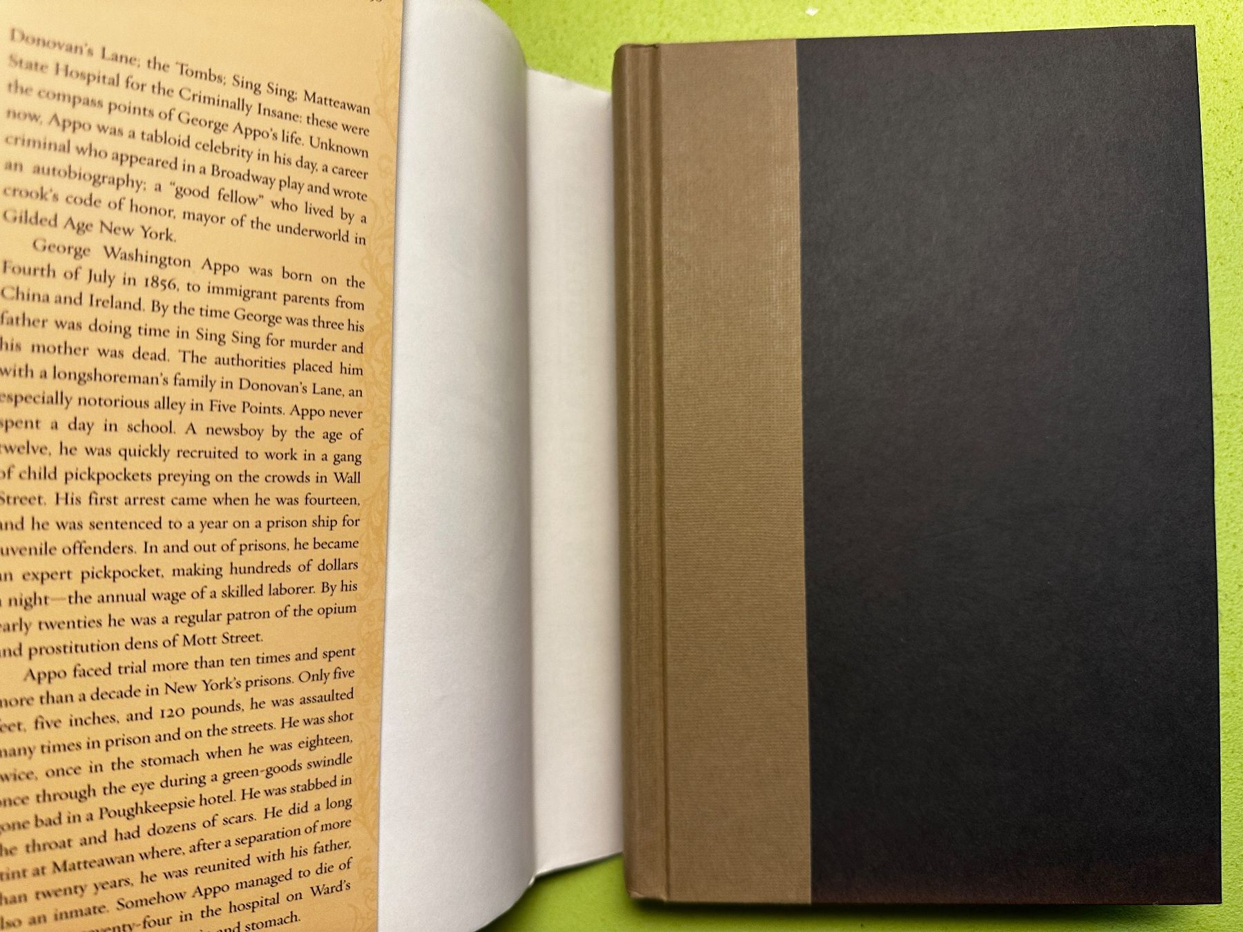 Libri: Timothy J. Gilfoyle: A Pickpocket's Tale. 2006 – Usato da Zürich venduto da allp 1
