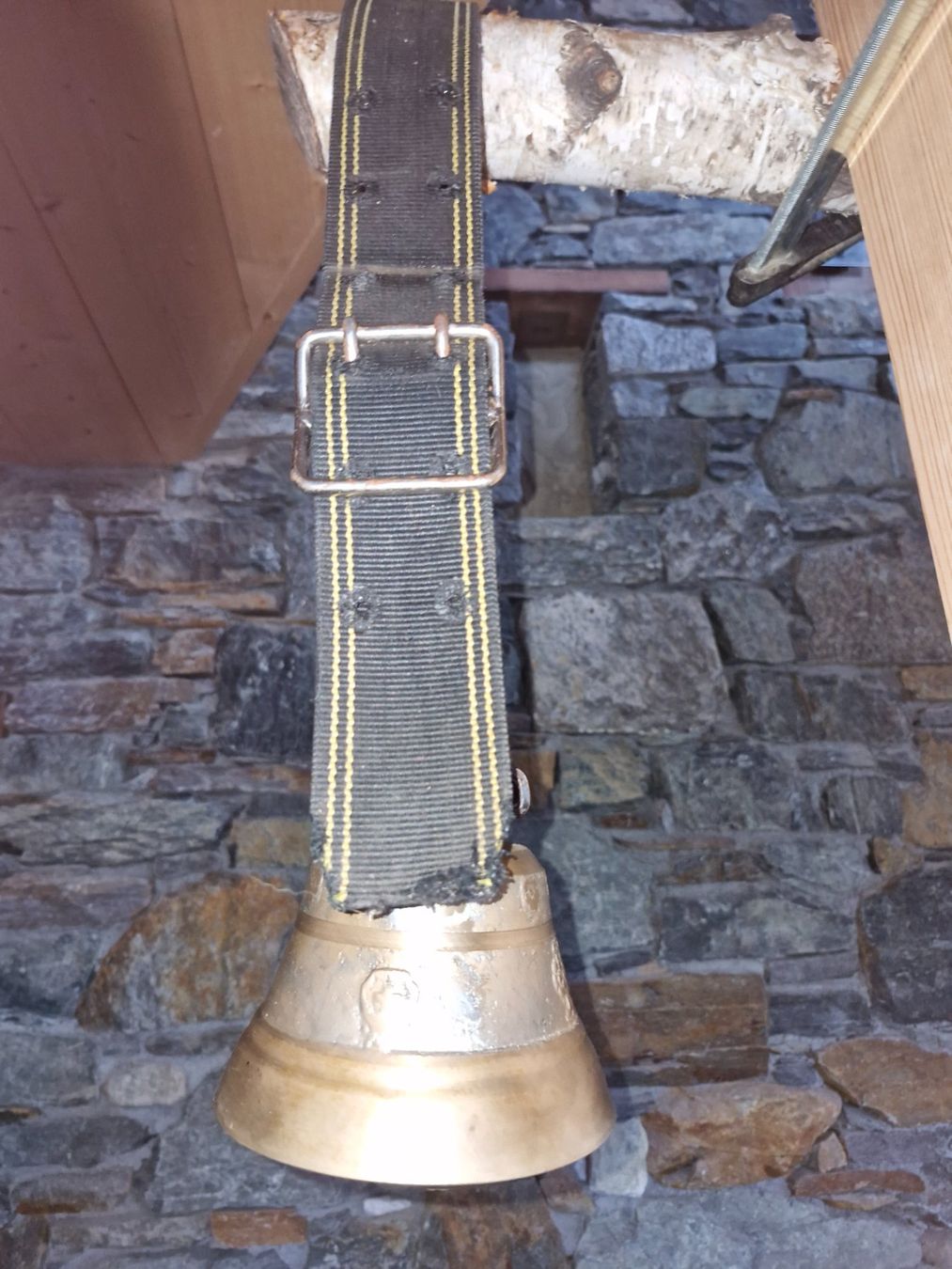 Campanacci mucche: Glocke Treichel – Usato da Guarda venduto da rue_bpd7