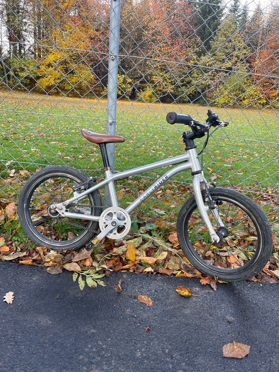 Early Rider (Gebraucht) in Mittelhäusern für CHF 205 – nur Abholung auf ...