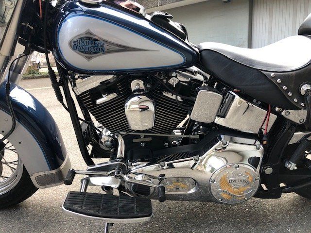 Harley-Davidson Strada: HARLEY - DAVIDSON FLSTC – Usato da Neuhausen venduto da Topogigio1 1